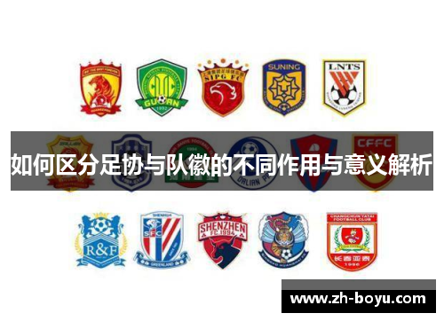 如何区分足协与队徽的不同作用与意义解析