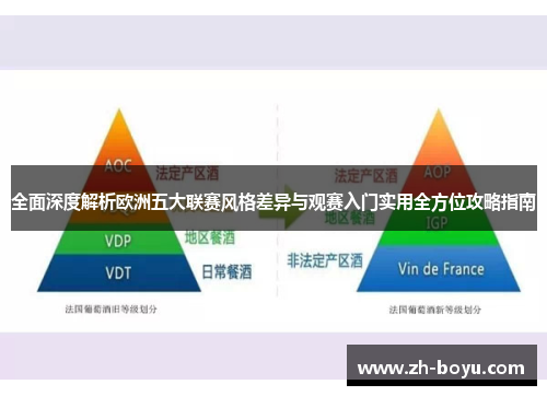 全面深度解析欧洲五大联赛风格差异与观赛入门实用全方位攻略指南